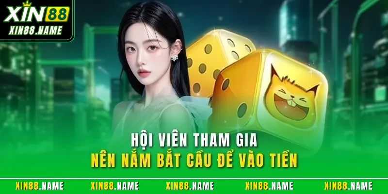 Tài Xỉu XIN88 – Hướng Dẫn Chơi Sicbo Dễ Hiểu Cho Người Mới 4 Hội viên tham gia nên nắm bắt cầu để vào tiền